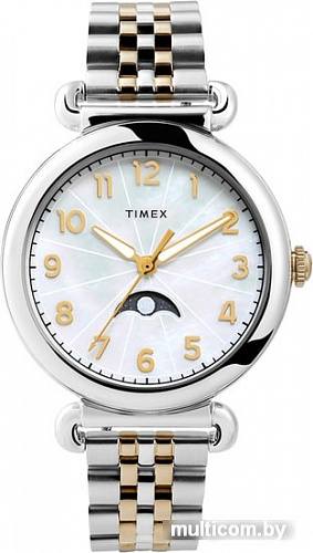 Наручные часы Timex TW2T89600