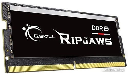 Оперативная память G.Skill Ripjaws 16ГБ DDR5 SODIMM 4800МГц F5-4800S4039A16GX1-RS