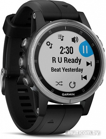 Умные часы Garmin Fenix 5S Plus (серебристый/черный)