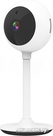 IP-камера SLS CAM-01WFWH