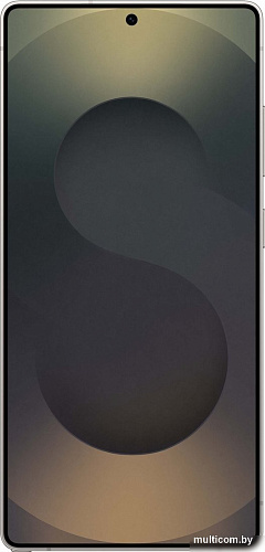 Samsung Galaxy S25 Ultra SM-S938B 12GB/256GB (черный титан)