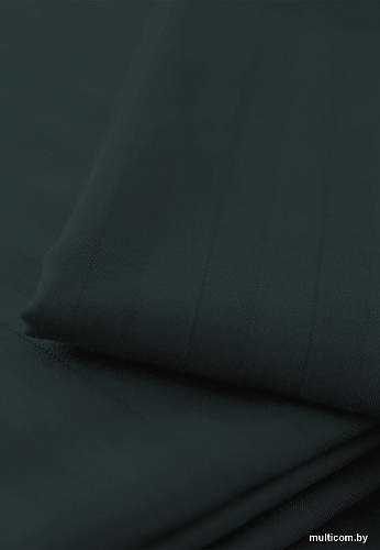 Постельное белье Verossa Stripe Dark green VRT 180/215М 70274 ST13 01