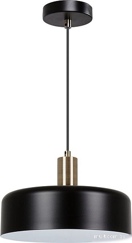 Подвесная люстра Arte Lamp Skat A7052SP-1BK