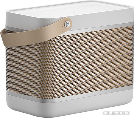 Беспроводная колонка Bang & Olufsen Beolit 20 (серый)
