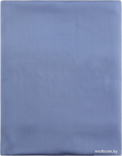 Постельное белье Sima-Land 10518576 (синий)