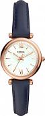 Наручные часы Fossil Carlie Mini ES4502