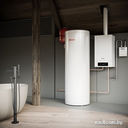 Отопительный котел Thermex Sirius PS28