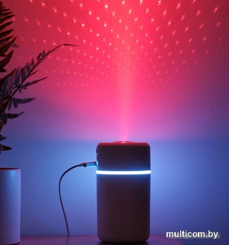 Sundays Home TBD0602152801A