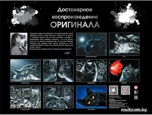 Картина по номерам Белоснежка Отражение 404-BA-C