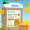 Хозяйственное мыло Septivit Хозяйственное Универсальное (5 л)