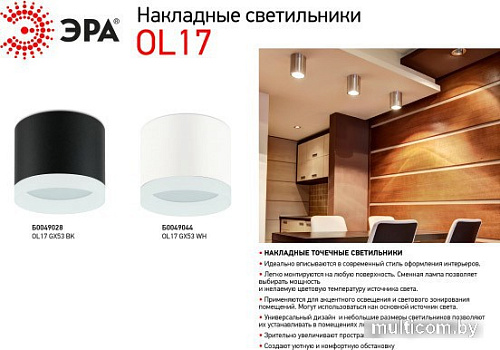 Точечный светильник ЭРА OL17 GX53 WH