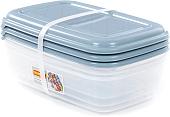Набор контейнеров Полесье №41 2.7л с крышками 73836 (3 шт, прозрачный/серо-голубой)