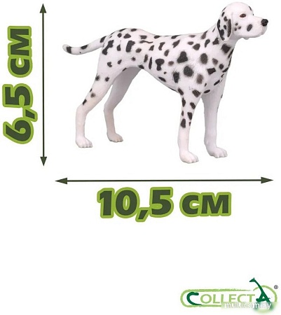 Фигурка Collecta Далматинец 88072b