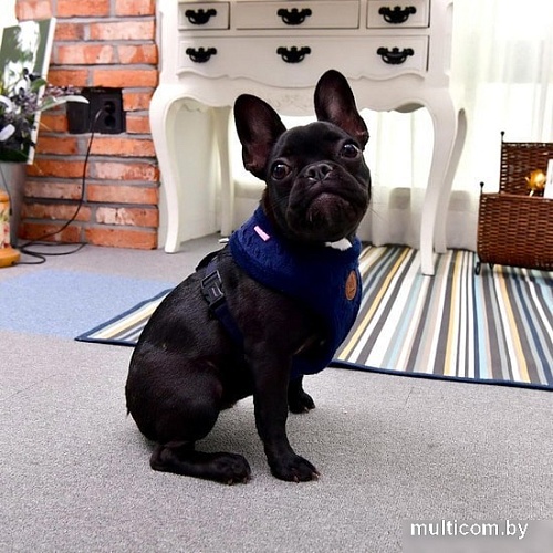 Шлейка Pinkaholic Polina NASD-HA7506-NY-M (синий)