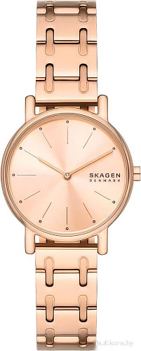 Наручные часы Skagen SKW3125