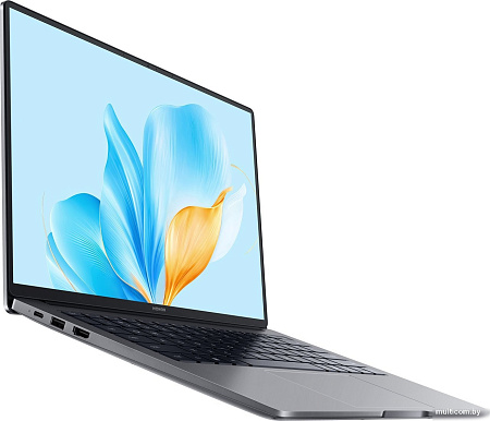 Ноутбук HONOR MagicBook X14 2025 FRG-X 5301ALWJ