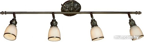 Точечный светильник Lussole LSL-7309-04