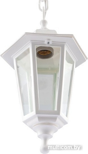 Уличный подвесной светильник ЭРА НСУ 06-60-001 Б0048110