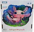 Пазл Melograno Джейн MPZCA20-M (65 эл)