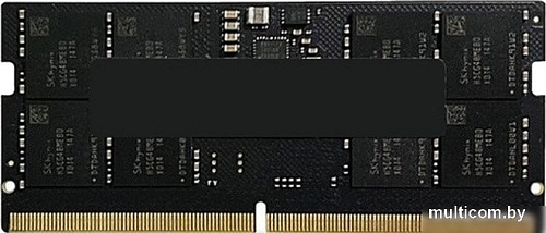 Оперативная память AMD Radeon R5 Entertainment Series 32ГБ DDR5 SODIMM 5200 МГц R5532G5200S2S-U