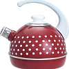 Чайник со свистком Сила Дон T04/35/01/27/H03