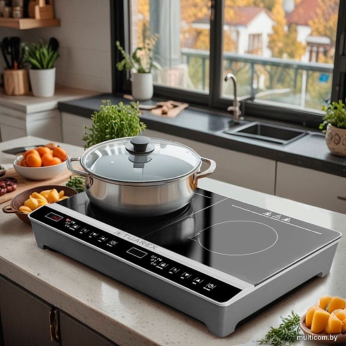 Настольная плита Tuarex TK-2731