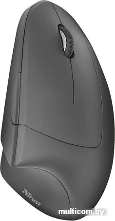 Мышь Trust Verto Wireless