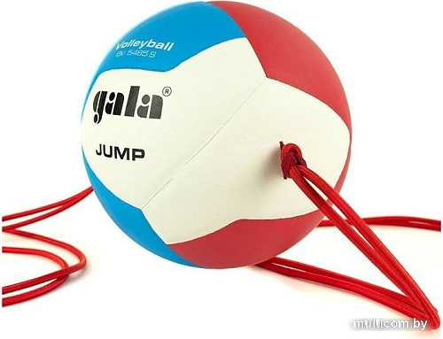 Волейбольный мяч Gala Jump 12 BV 5485 S (размер 5, красный/синий/желтый)