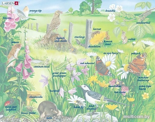 Мозаика/пазл Larsen Природа FH25