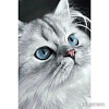 Алмазная мозаика Wizardi Кошачьи глаза 2WD3003
