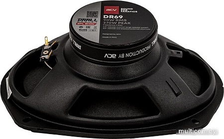 Широкополосная АС ACV DR69 Drall