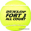 Мяч Dunlop Fort All Court (4 шт)