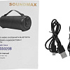 Беспроводная колонка Soundmax SM-PS5020B (темно-синий)
