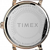 Наручные часы Timex Full Bloom TW2U19300