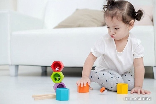 Сортер Plan Toys Beehives 4125