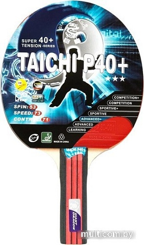 Ракетка для настольного тенниса Giant Dragon TaiChi P40+ (FL)
