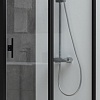 Душевая дверь Allen Brau Priority 3.31009.BBA