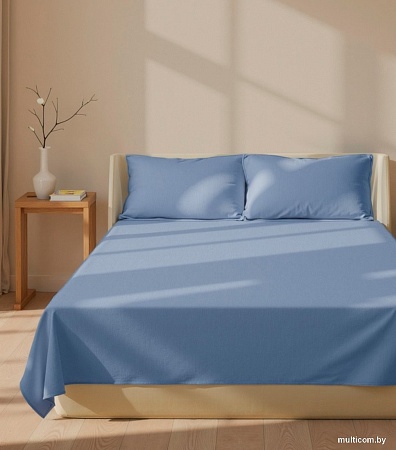 Постельное белье Sima-Land Modal 10518582 (синий)