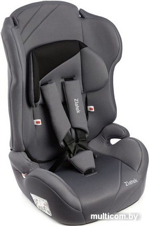 Детское автокресло Zlatek ZL513 (серый)