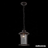 Уличный фонарь ST Luce Lastero SL080.403.01