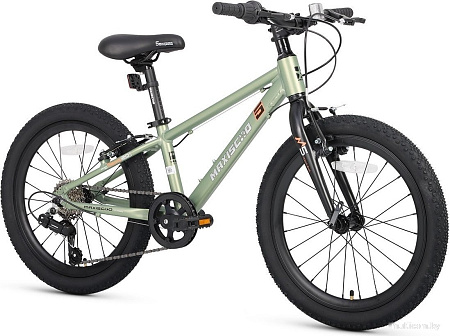 Детский велосипед Maxiscoo 5bike 20 M200 2025 MSC-M5-2011 (хаки)