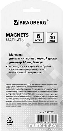 Набор магнитов BRAUBERG 230757 (6шт)