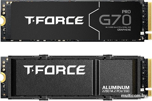 SSD Team G70 Pro 1TB TM8FFH001T0C128