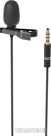 Микрофон Ritmix RCM-110