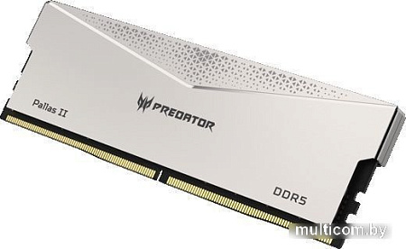Оперативная память Acer Predator Pallas II 2x16ГБ DDR5 6000 МГц BL.9BWWR.350
