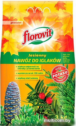 Удобрение Florovit Для хвойных осенний гранулированное (3 кг, мешок)