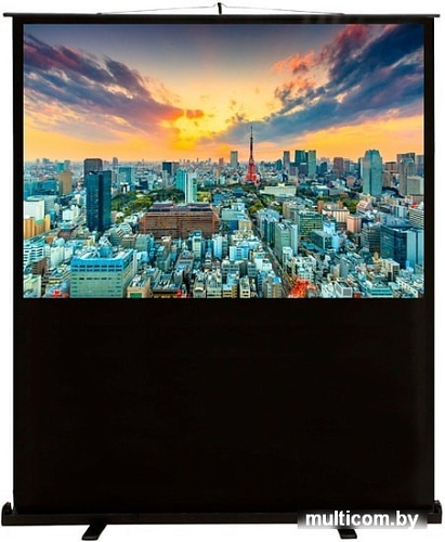 Проекционный экран CACTUS FloorCompactExpert 120x160 CS-PSFLCE-160X120