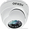 CCTV-камера Ginzzu HAD-5301A