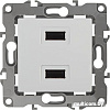 Розетка USB ЭРА 12-4110-01