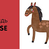 Набор книг издательства Clever. Познаем мир вместе. Английский язык. Животные (Уткина Ольга)